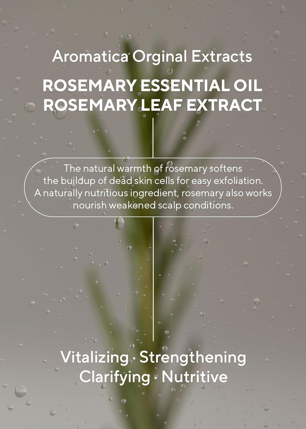 Aromatica - Rosemary Scalp 3-in-1 Treatment - Rosemary Hair Conditioner 160ml