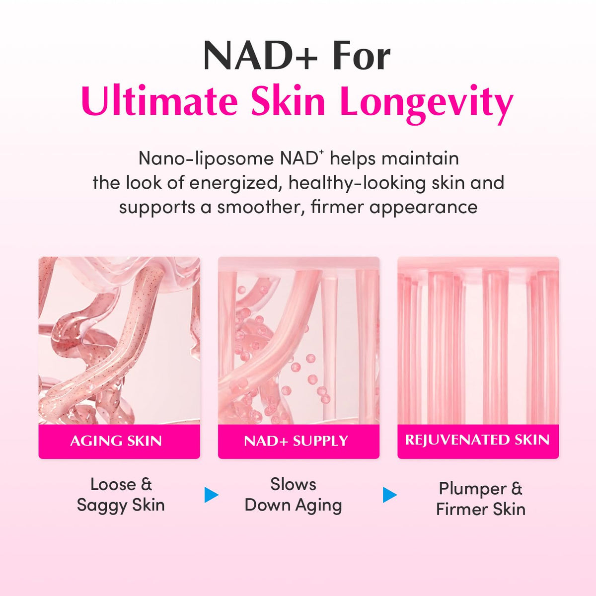 EQQUALBERRY NAD+ Ενισχυτική Κρέμα με Πεπτίδια 50ml