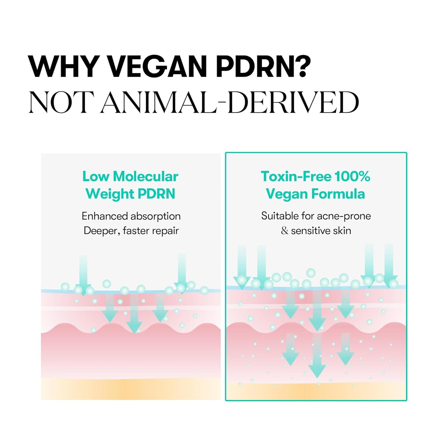 VT PDRN Capsule Cream 50ml
