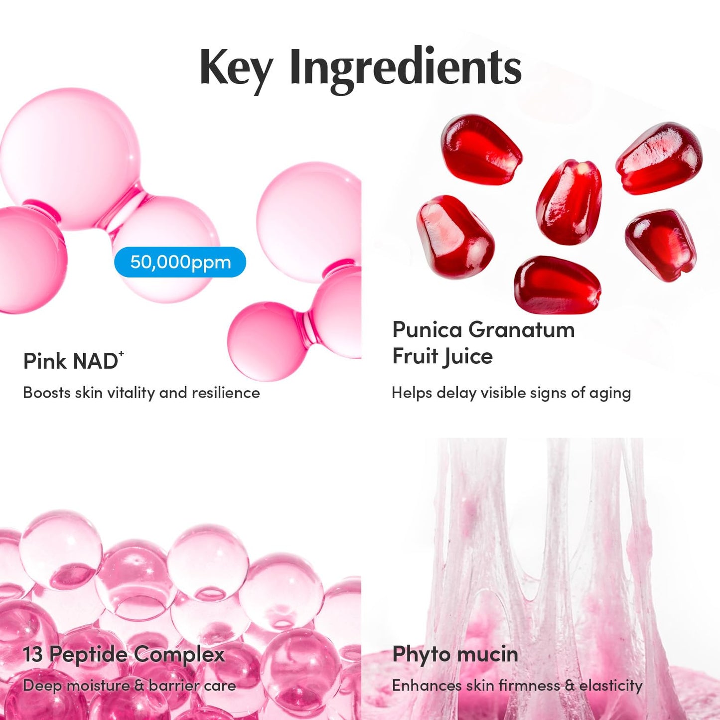 EQQUALBERRY NAD+ Ενισχυτική Κρέμα με Πεπτίδια 50ml