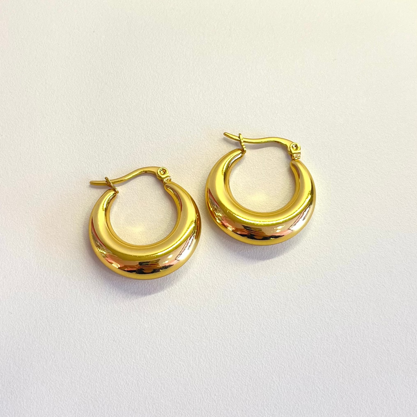 Bold Hooks Earrings