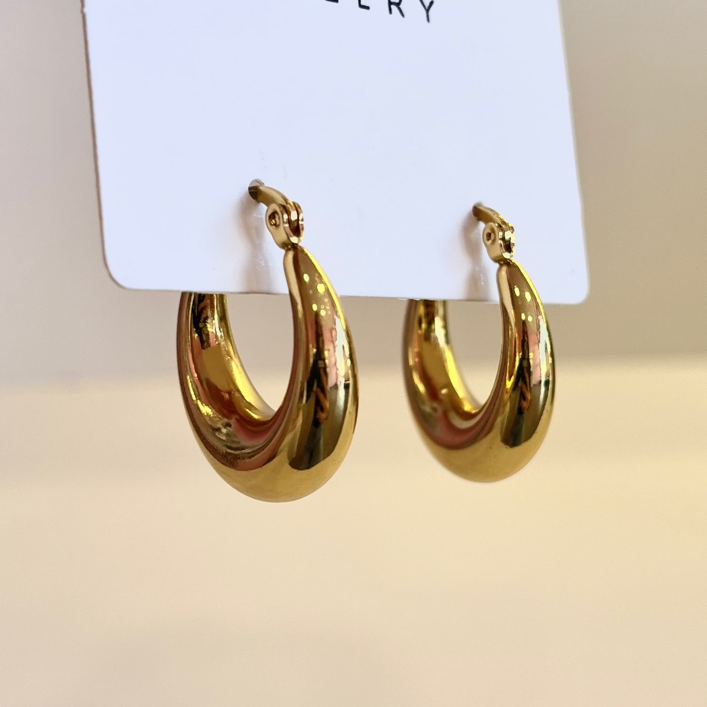 Bold Hooks Earrings